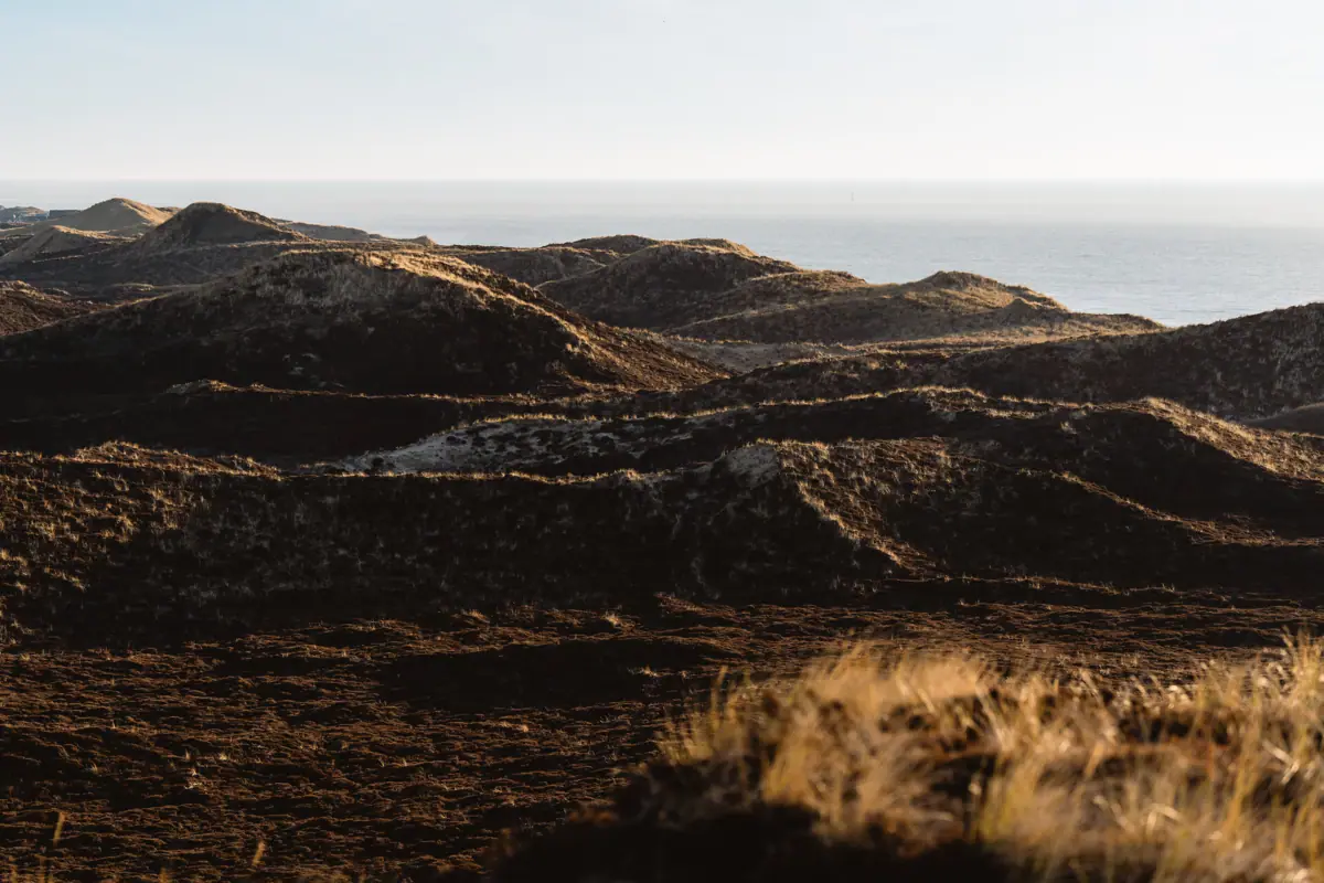 Dünenlandschaft auf Sylt mit Hügeln und der Nordsee im Hintergrund
