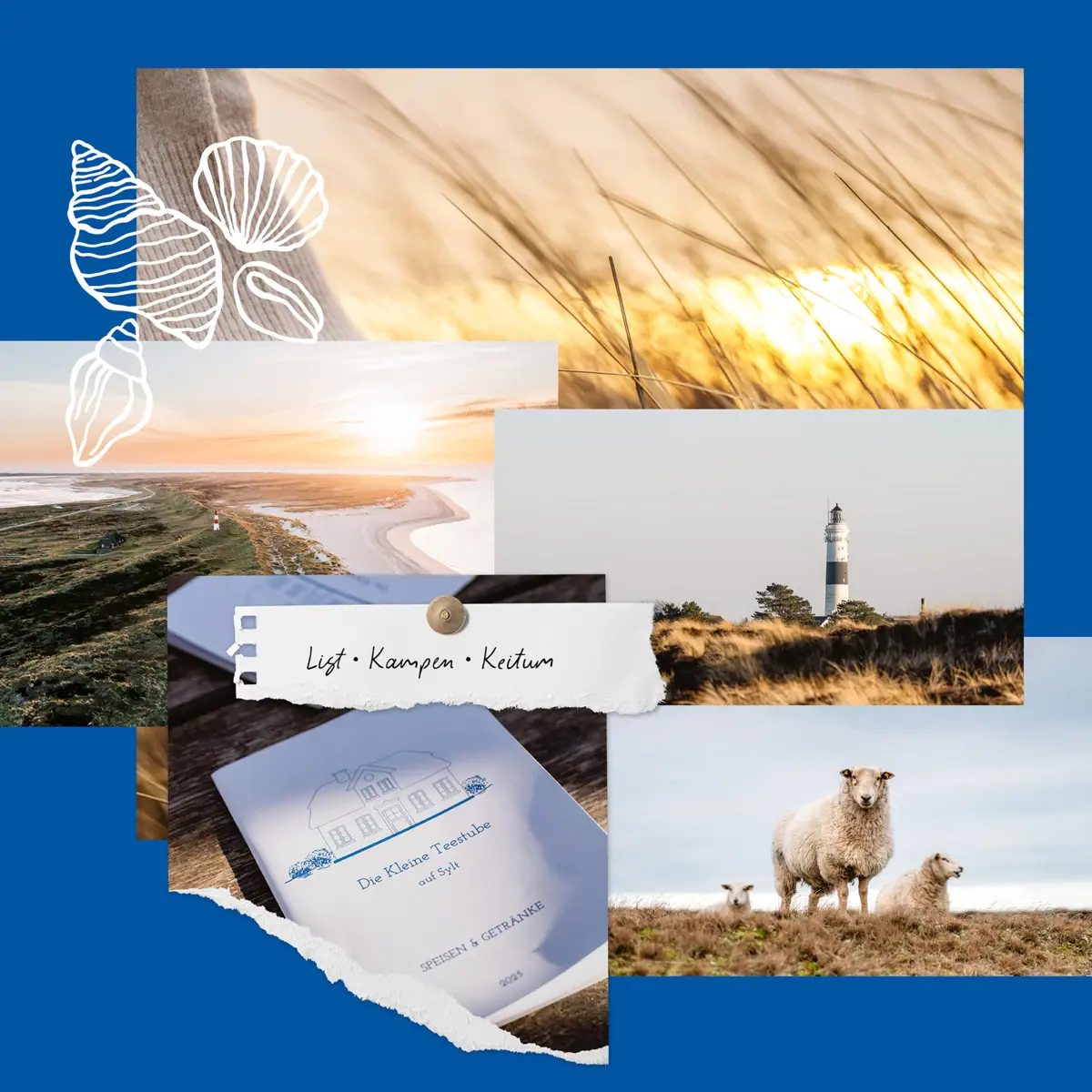 Sylt Geheimtipps Collage aus Fotos von Schafen und einem Leuchtturm auf Sylt.