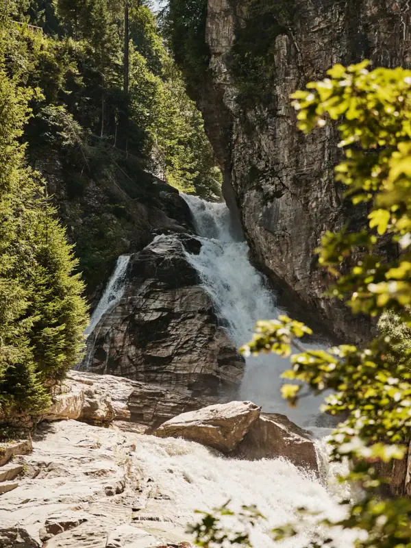 Ein Wasserfall in einem Wald.