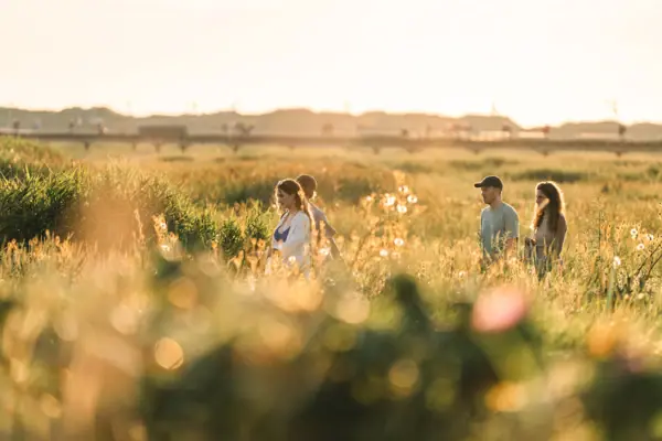 Eine Gruppe von Menschen, die durch ein Feld in St. Peter-Ording geht.