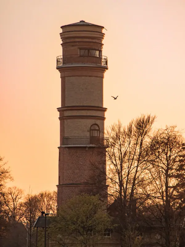 Der Alte Leuchtturm in Travemünde bei Sonnenaufgang mit einer Möwe daneben.