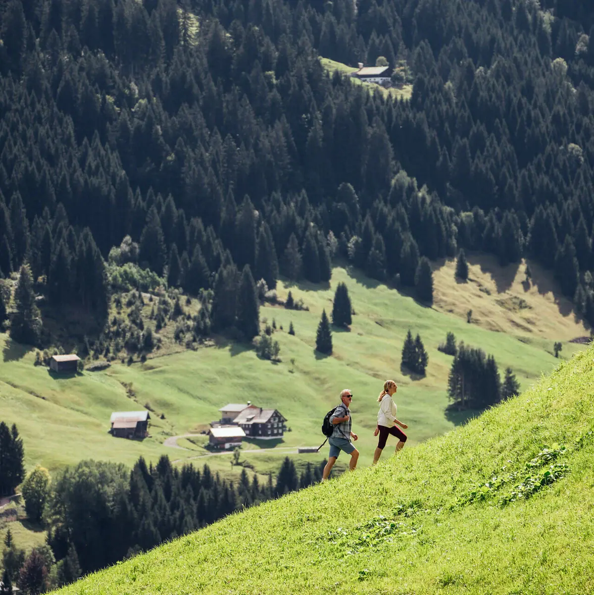 Ein Paar geht einen Hügel hinauf, im Hintergrund sind Bäume zu sehen.