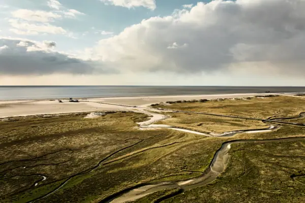 Salzwiesen und Strand an der Nordsee