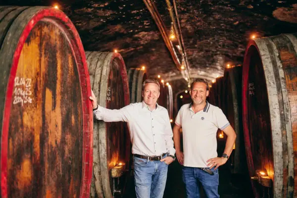 DREI³ Weine Weingut Spreitzer DREI³ Weine