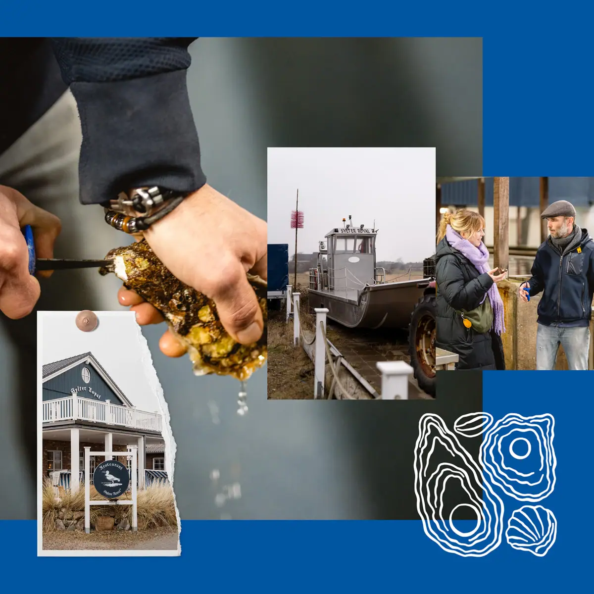 Collage von Sylt Geheimtipps mit Fotos der Dittmeyer’s Austern-Compagnie.