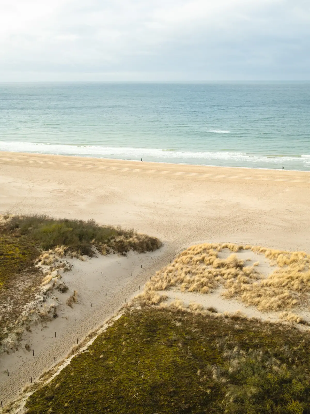 Blick auf den Strand von Warnemünde mit der Ostsee im Hintergrund und den Dünen im Vordergrund.